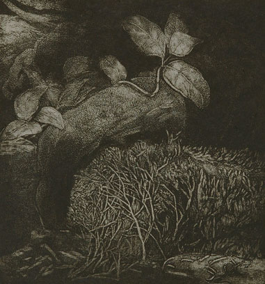 Etching by Indian Artist Ananthiah, nature in black & white 