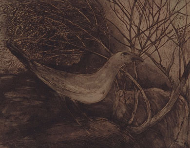 The bird by Indian Artist Ananthiah using etching & aquatint as a medium