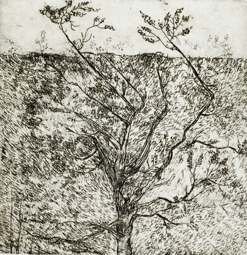 Art Intaglio: Etchings: Lalitha Lajmi: Summer of 83