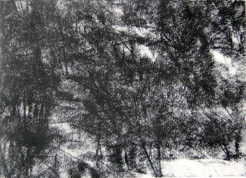 Offset Prints of natures labyrinth by modern Indian Artist Paramjit Singh