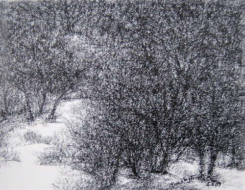 Offset Prints of natures labyrinth by modern Indian Artist Paramjit Singh