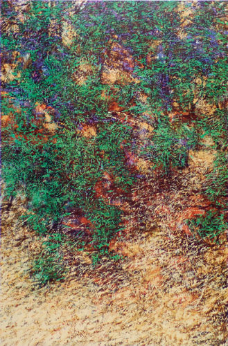 Offset Prints of natures labyrinth by modern Indian Artist Paramjit Singh