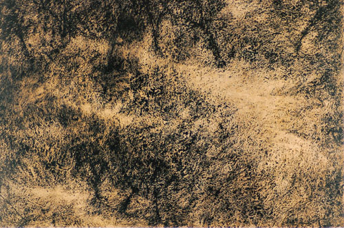 Offset Prints of natures labyrinth by modern Indian Artist Paramjit Singh