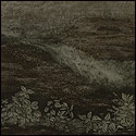 Intaglio print by Indian Artist Ananthiah, nature in black & white 
