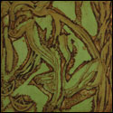 Original Print by contemporary Indian Artist Namrata Sneha