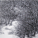 Offset Prints of natures labyrinth by modern Indian Artist Paramjit Singh