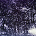 Offset Prints of natures labyrinth by modern Indian Artist Paramjit Singh