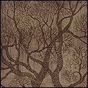 Original Print by contemporary Indian Artist Ravindra Shankar Roy