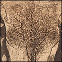 Etching by contemporary Indian Artist T. R. Sunil Lal