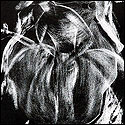 Abstract in Lithograph by contemporary Indian Artist T. R. Sunil Lal