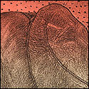 Abstract in Lithograph by contemporary Indian Artist T. R. Sunil Lal